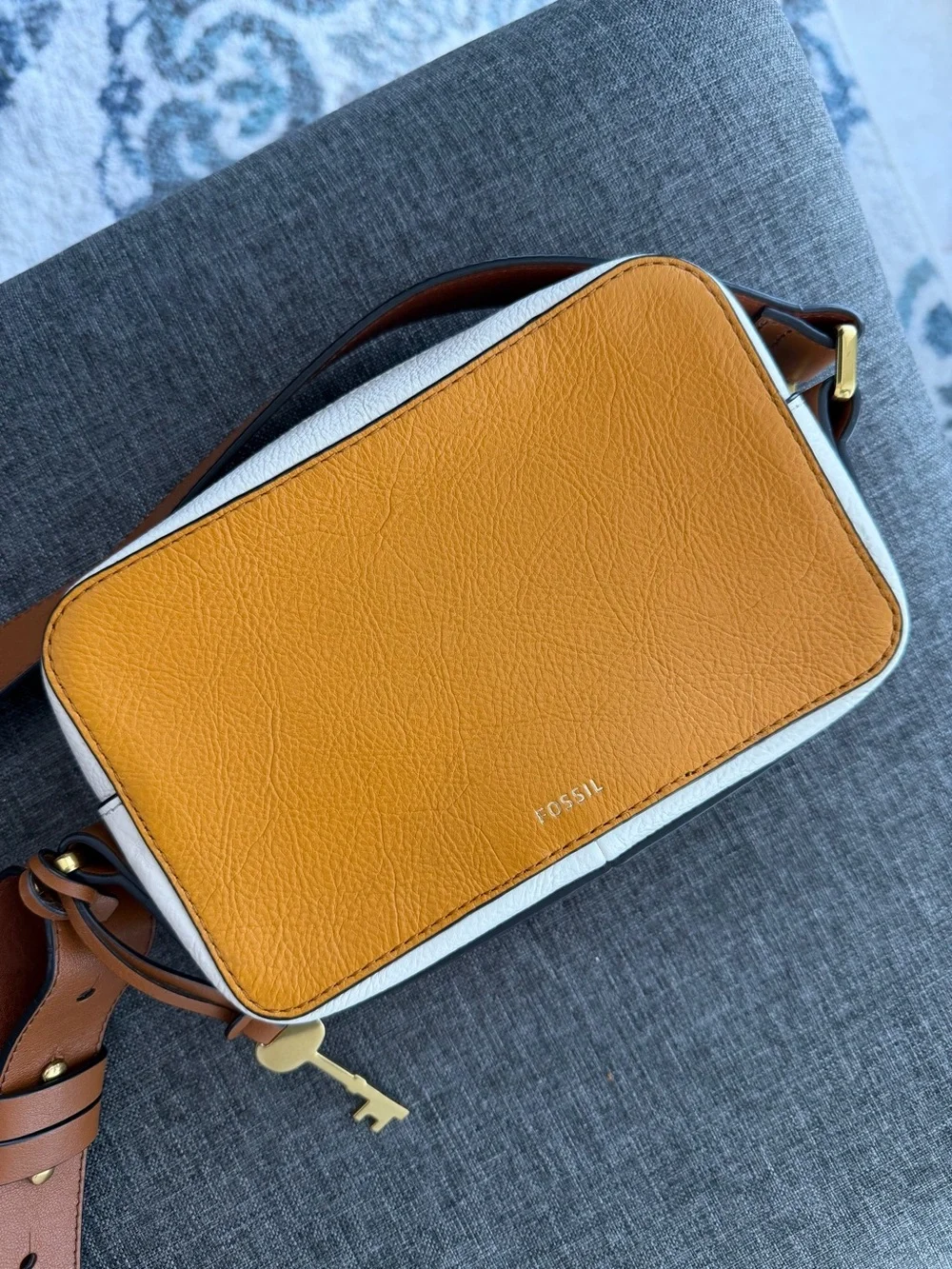 Fossil super cute